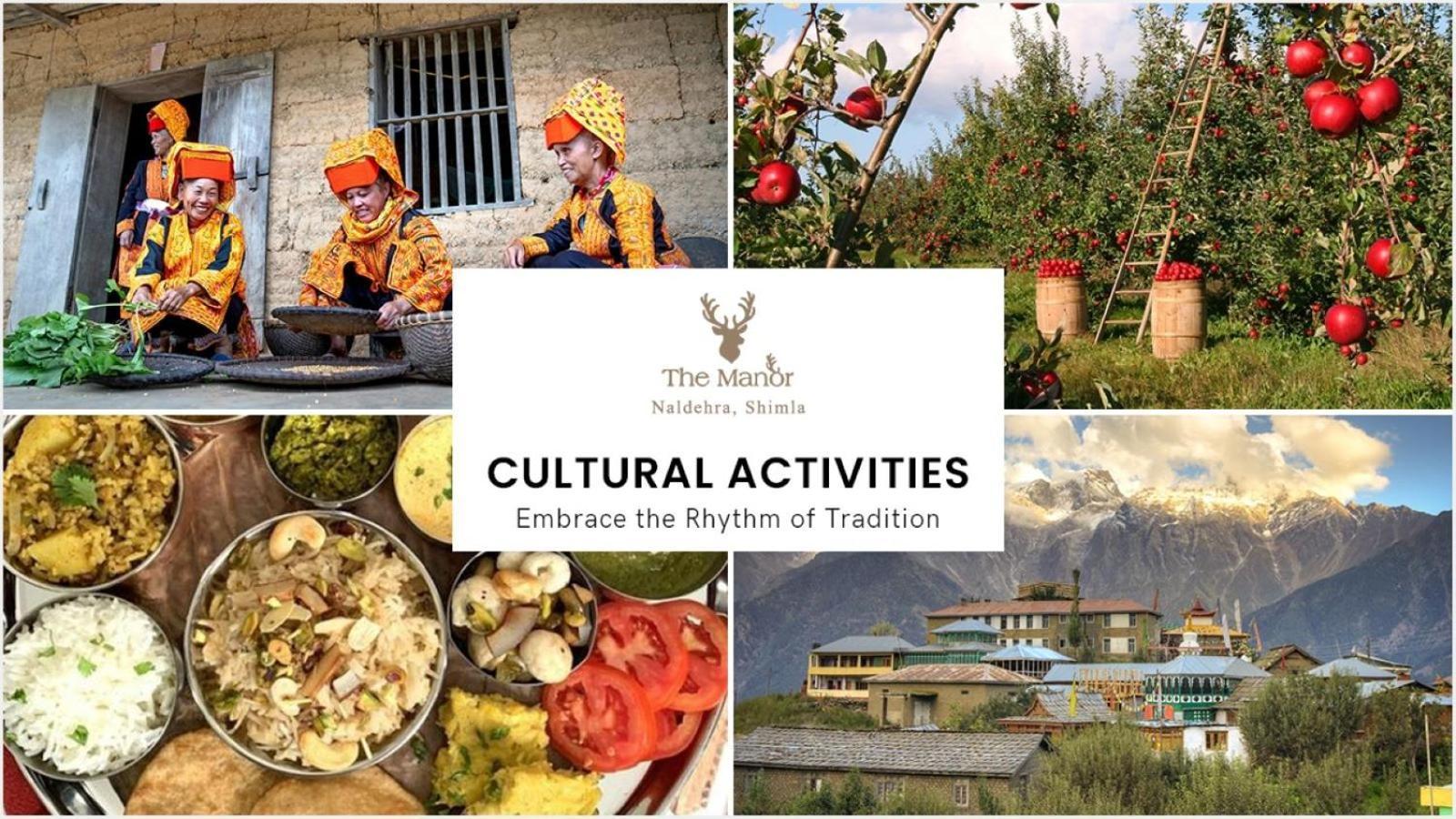 The Manor Luxury Apartments, Shimla Mashobra Εξωτερικό φωτογραφία